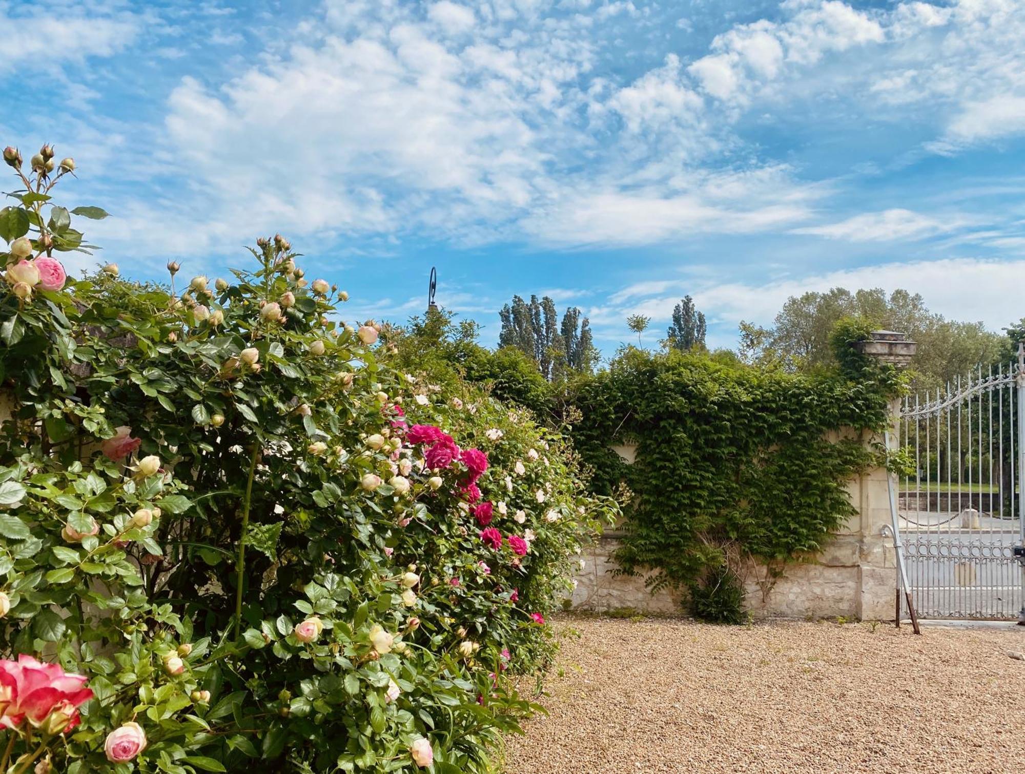 Maison Adrienne Saint-Aignan (Loir-et-Cher) Exterior foto